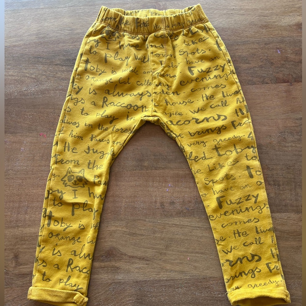 Zara pants
